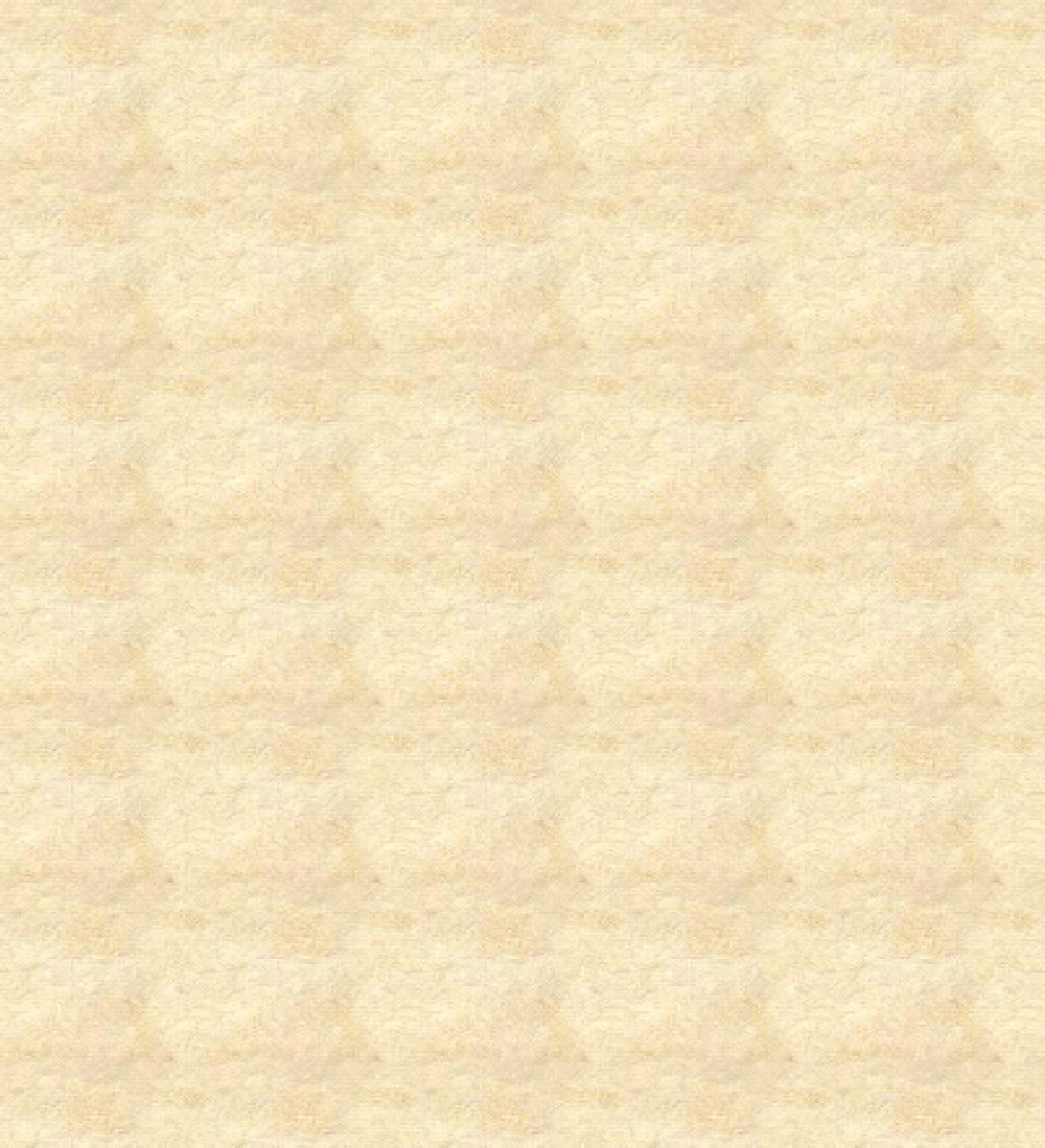 img35504.jpg