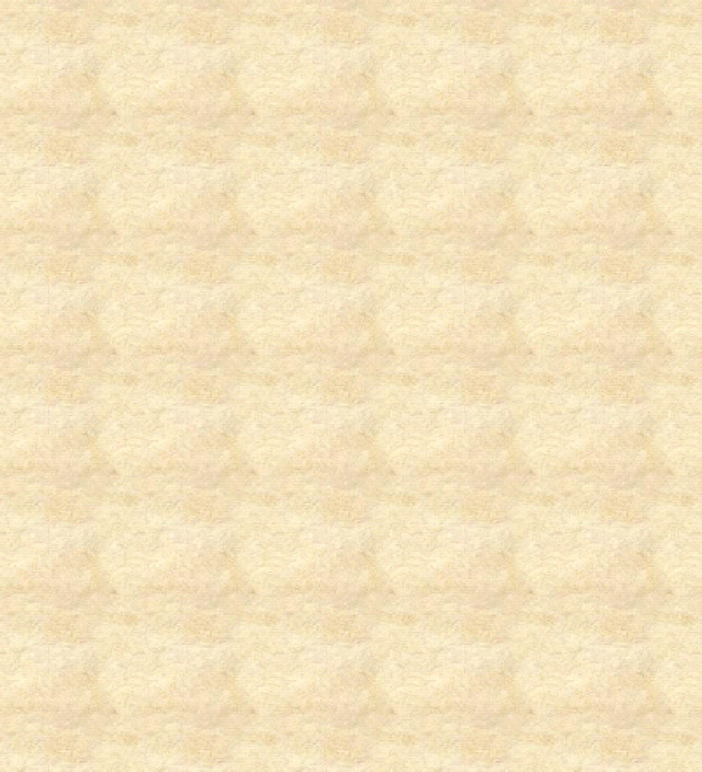 img35656.jpg