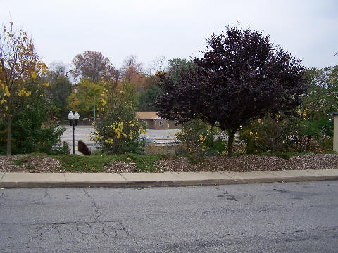 picture071.jpg